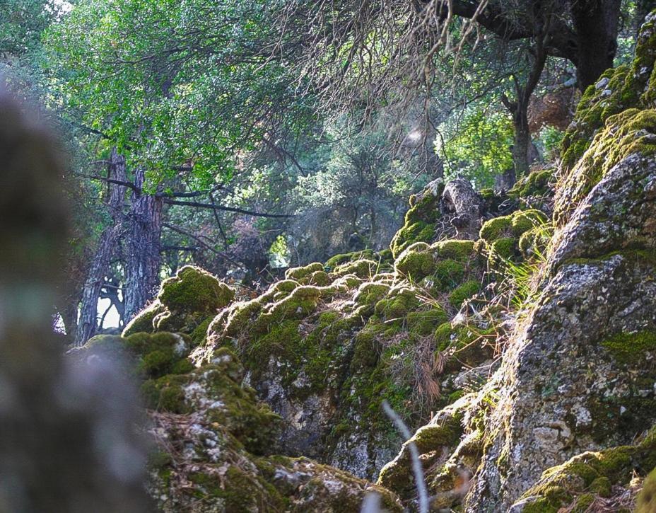 Villa Dio Petres Kroustas Exteriör bild